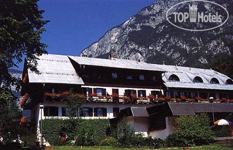 New photos from tourists Zlatorog 3*