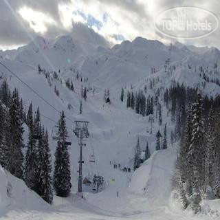 New photos from tourists Skihotel Vogel 3*