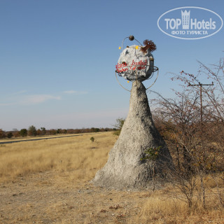 Photos Planet Baobab