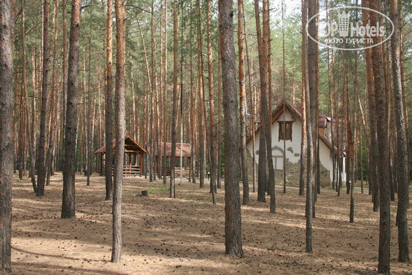 Photos Эхо