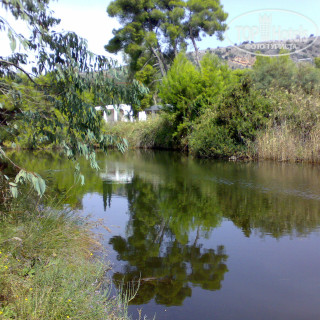 Photos Verde Al Mare