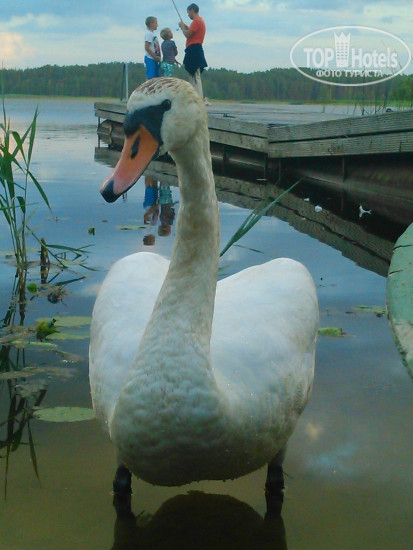 Photos Lilaste
