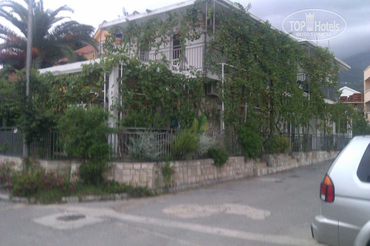 New photos from tourists Villa Lepa 3*
