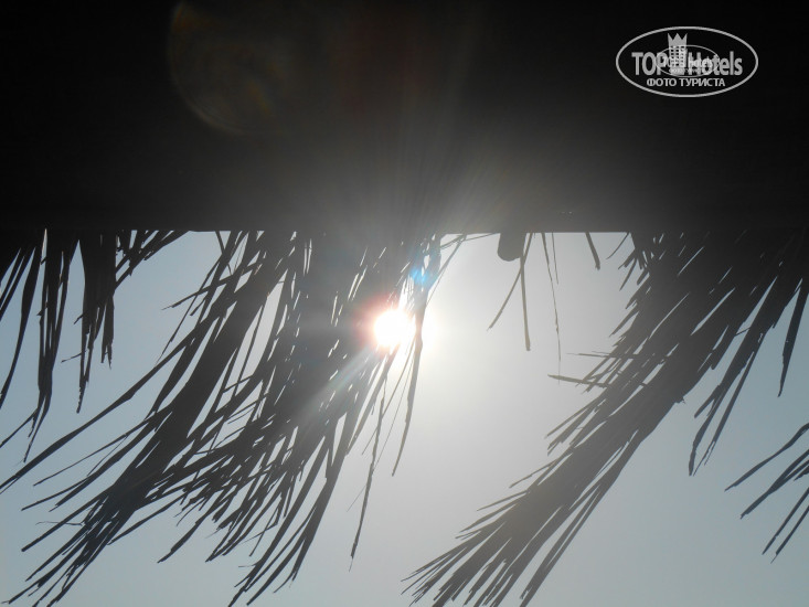 New photos from tourists S2 Beach Huts 2*
