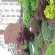 Фото Homewood Suites by Hilton Newtown-Langhorne, PA