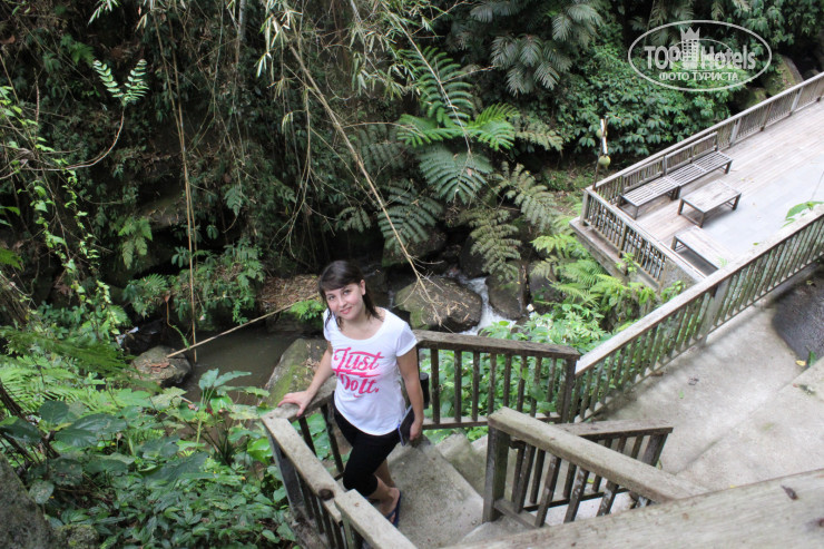 Hotelier's photos Alam Ubud Culture Villa And Residence 5*