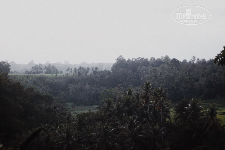 New photos from tourists Bambu Indah 3*