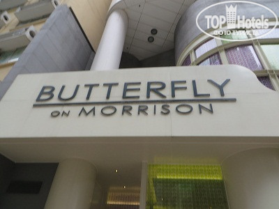 Photos Butterfly on Morrison
