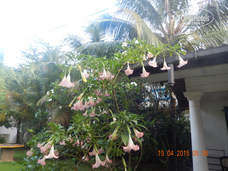 Новые добавленные фото туристов Paradise Garden 3*