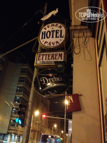 New photos from tourists Feher Pava Hostel