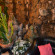Фото Pazific Hotel