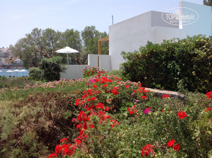 New photos from tourists Bluegr Minos Beach Art Hotel 5*