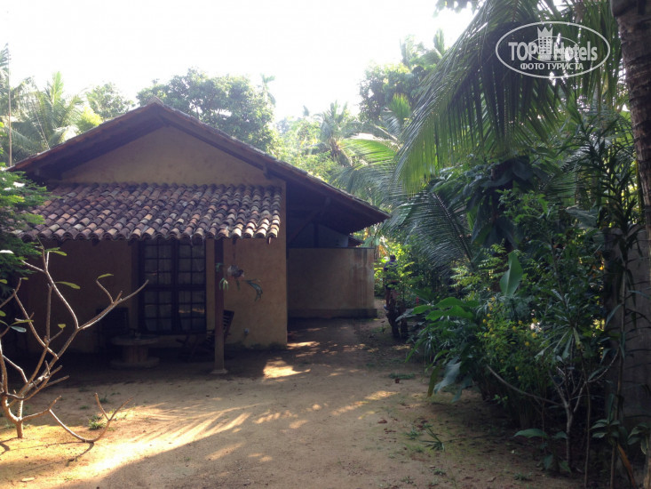New photos from tourists Dunes Unawatuna Hotel