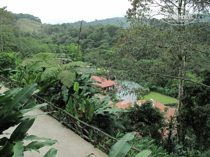 Hotel photo Peace Lodge 4*