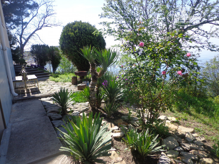 New photos from tourists Агрия (закрыт)