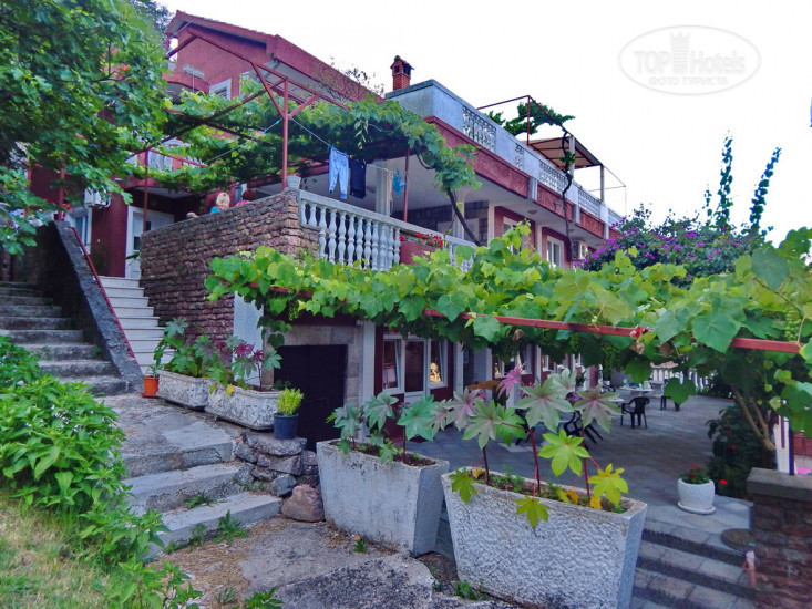 Photos Aleksa Villa