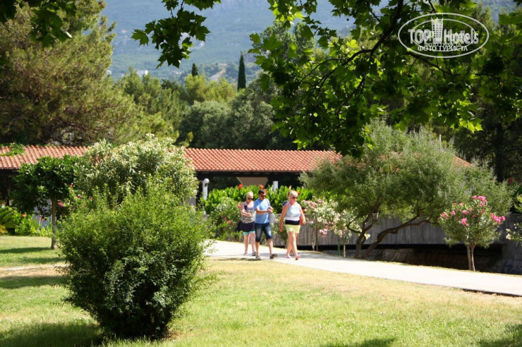 New photos from tourists Villa Natali