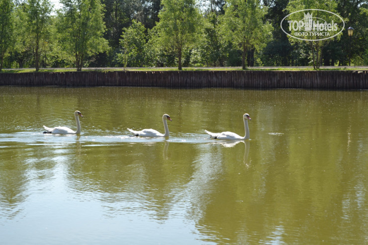 New photos from tourists Russian Hunting 4*