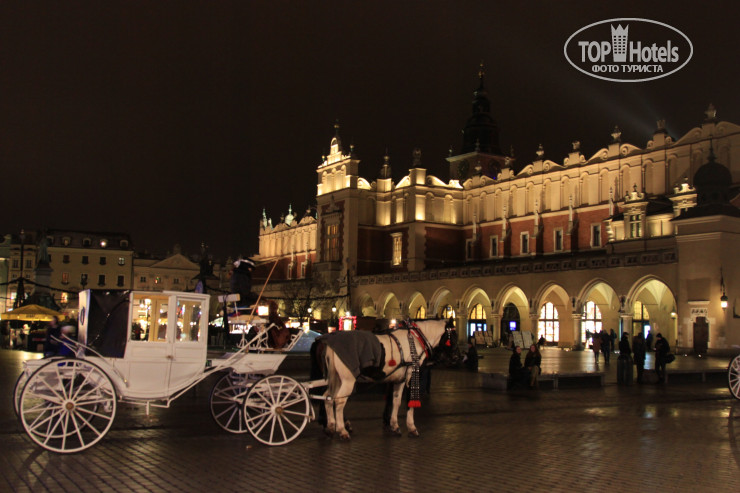 Новые добавленные фото туристов Dream Hostel