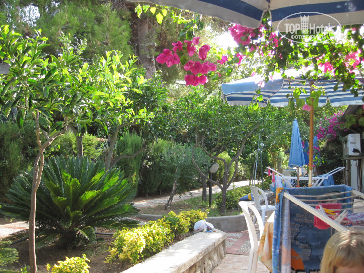 New photos from tourists Il Turistico Residence 3*