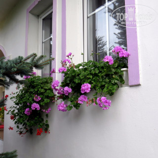 Photos Ovari Pension