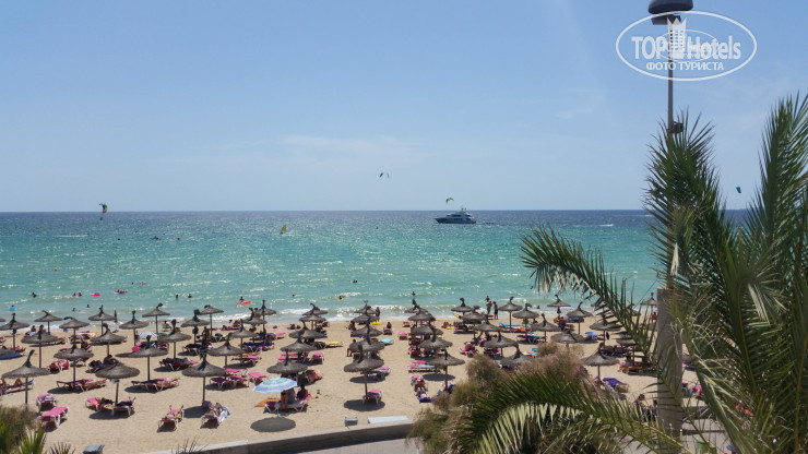 New photos from tourists Delfin Apartaments