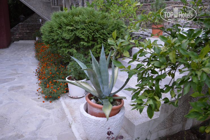 New photos from tourists Aleksa Villa