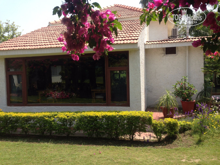 New photos from tourists Naturoville Ayurvedic And Yoga Retreat, Rishikesh 4*