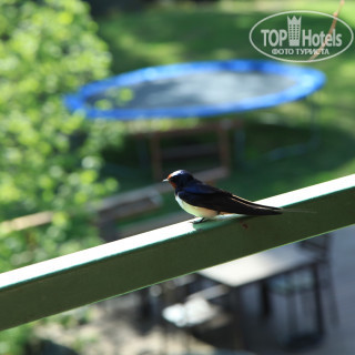 Photos Mantyniemi Sea Hotel