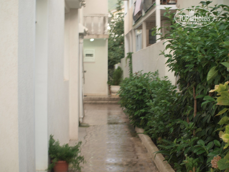 New photos from tourists Apartments Dieden