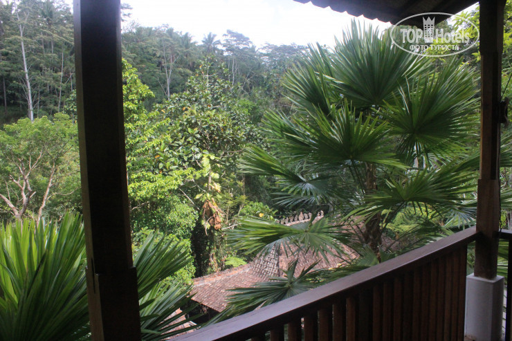 New photos from tourists Alam Ubud Culture Villa And Residence 5*