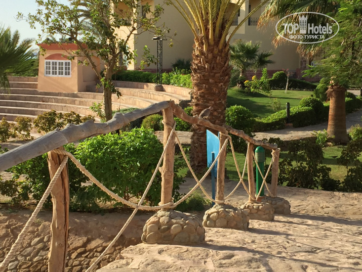 Новые добавленные фото туристов Blue Reef Red Sea Resort 4*