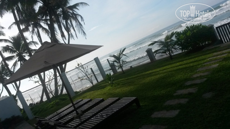 New photos from tourists Ocean Crest 3*