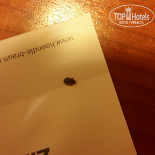 Photos Grasbrunner Hof Hotel