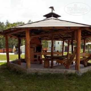 Photos Отдых на поляне