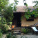 Photos Whale Island Resort