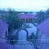 Photos Лев