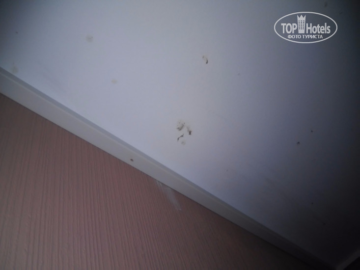 Hotel photo Звезда 2*