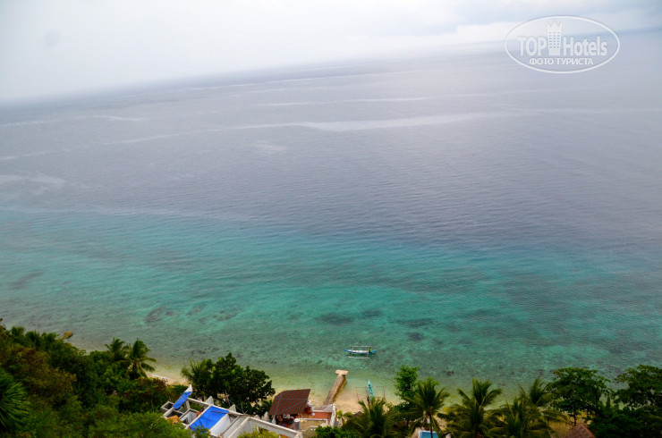 New photos from tourists Oslob Seafari Resort