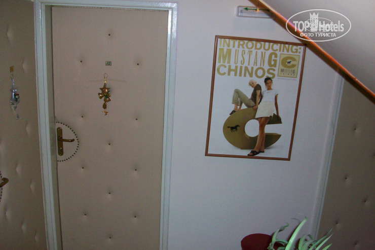New photos from tourists Ani Hotel 3*