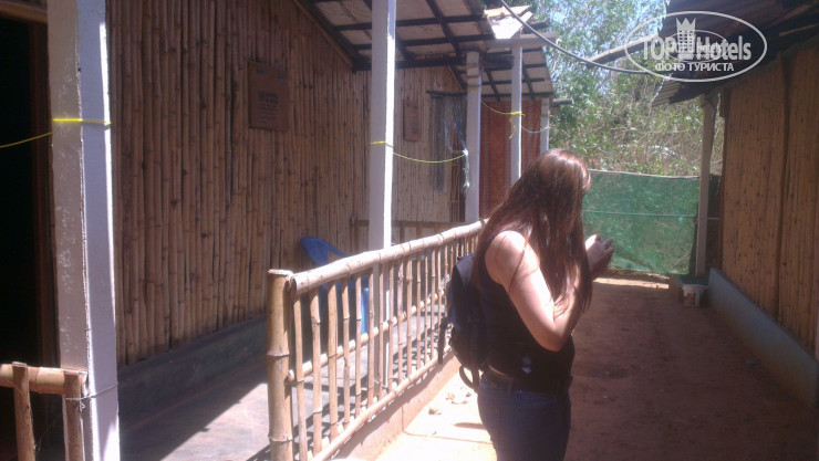New photos from tourists Divine Home