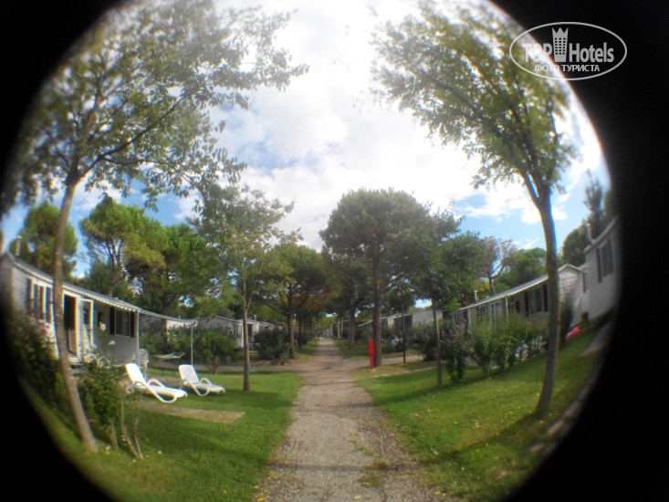 New photos from tourists Del Garda Village and Camping