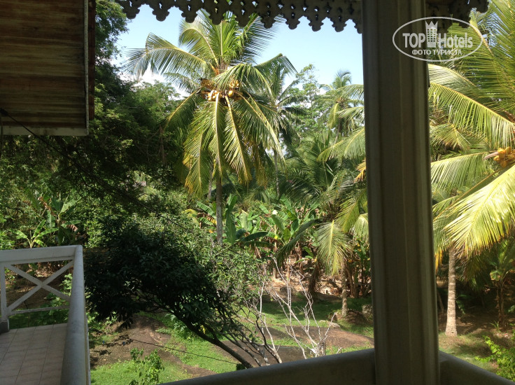 New photos from tourists Villa Balapitiya Beach 2*