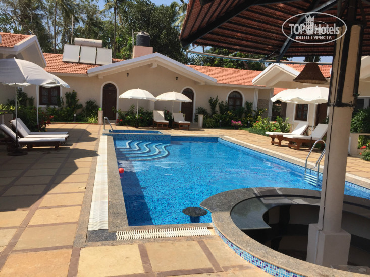New photos from tourists Jacks Resort