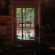 Photos Downtown Forest Hostel & Camping
