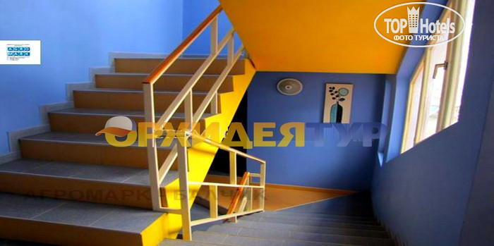 Hotel photo Forest View Inn Hotel 3*