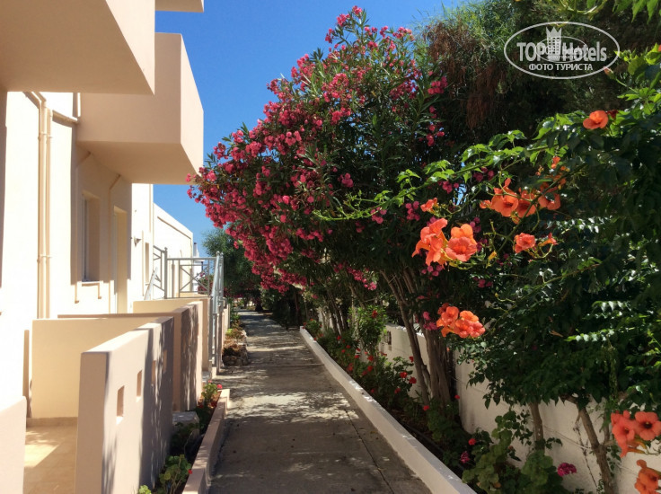 New photos from tourists Amarylis Sun 3*