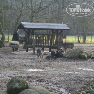 Фото Dorint Park Hotel Bremen