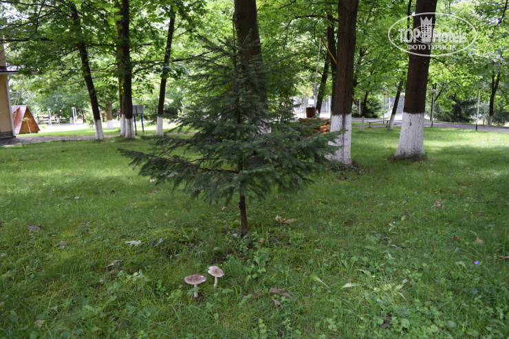 New photos from tourists Боржава