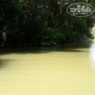 Photos Paradise Bungalows